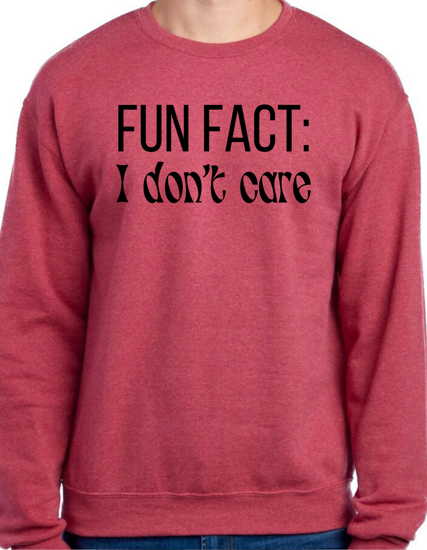 Fun Fact: I Don’t Care Crewneck