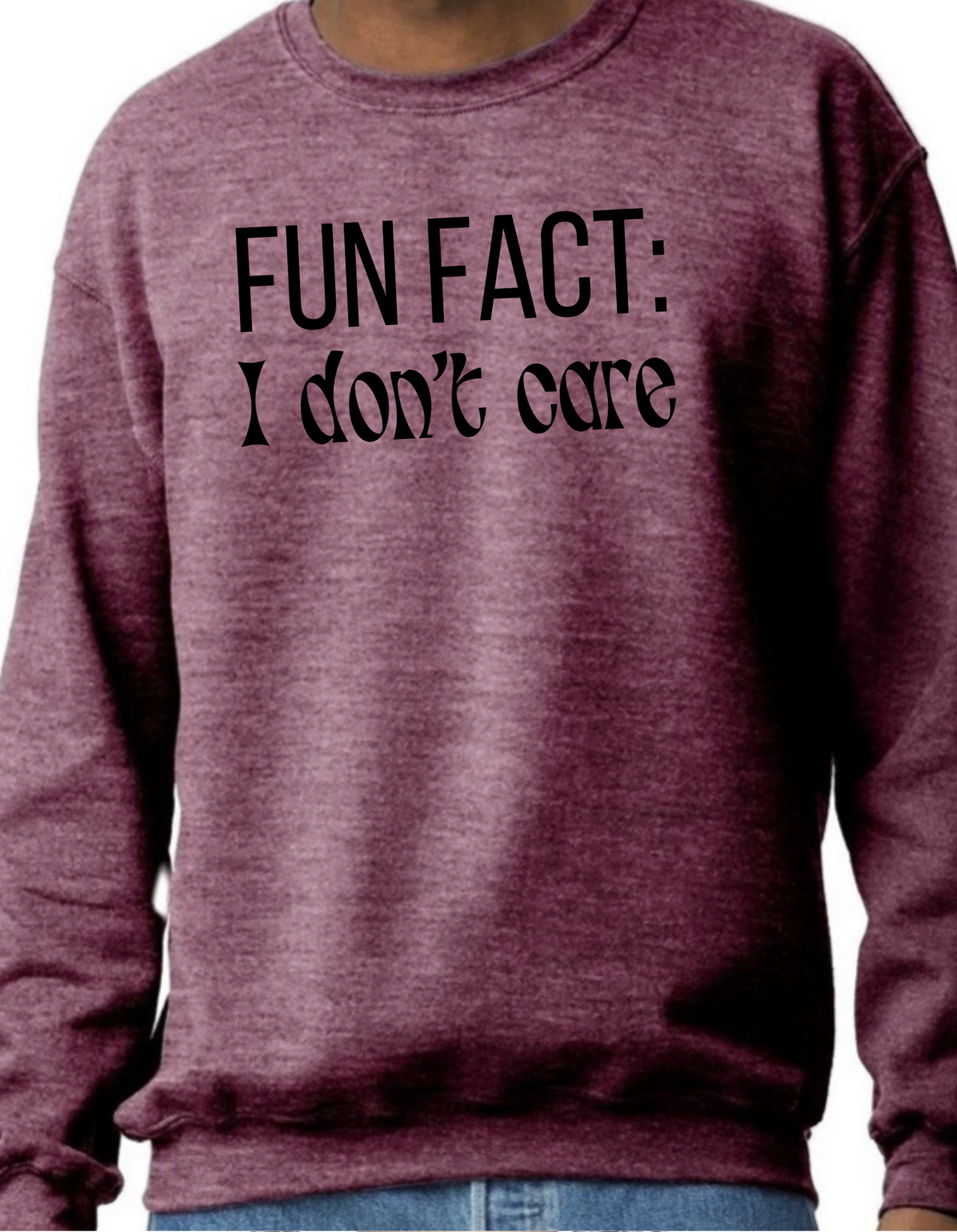 Fun Fact: I Don’t Care Crewneck