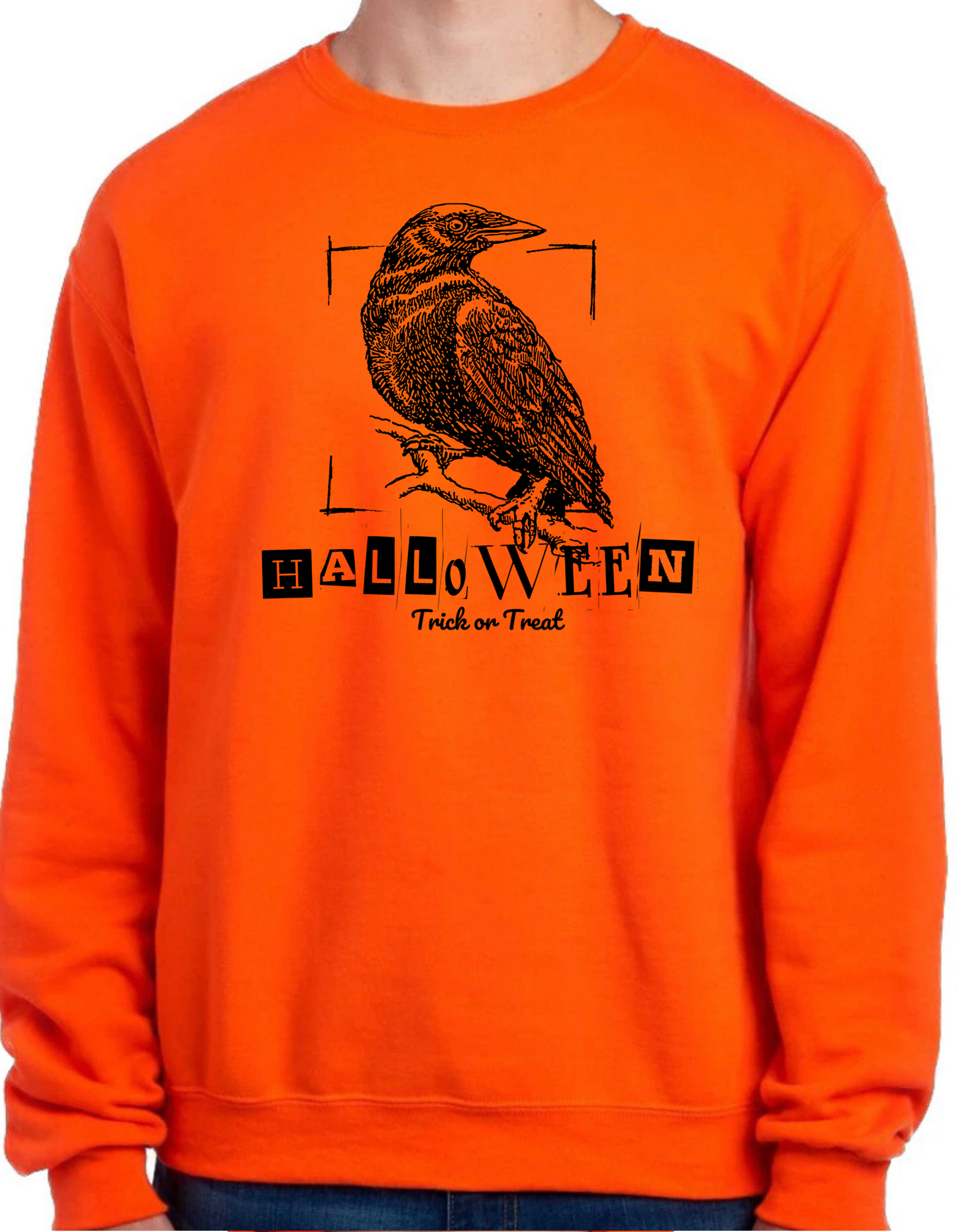 Halloween Crow Crewneck
