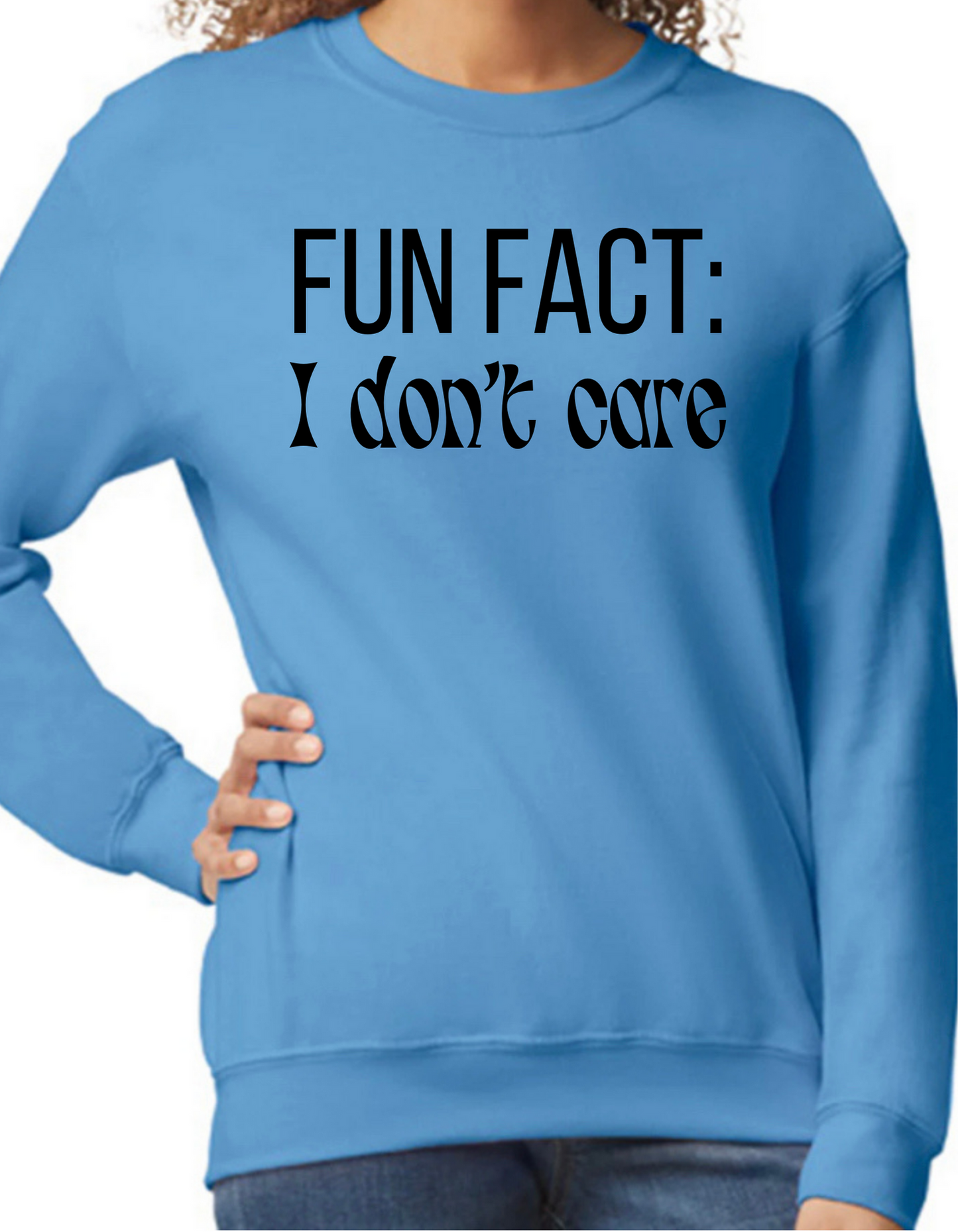Fun Fact: I Don’t Care Crewneck