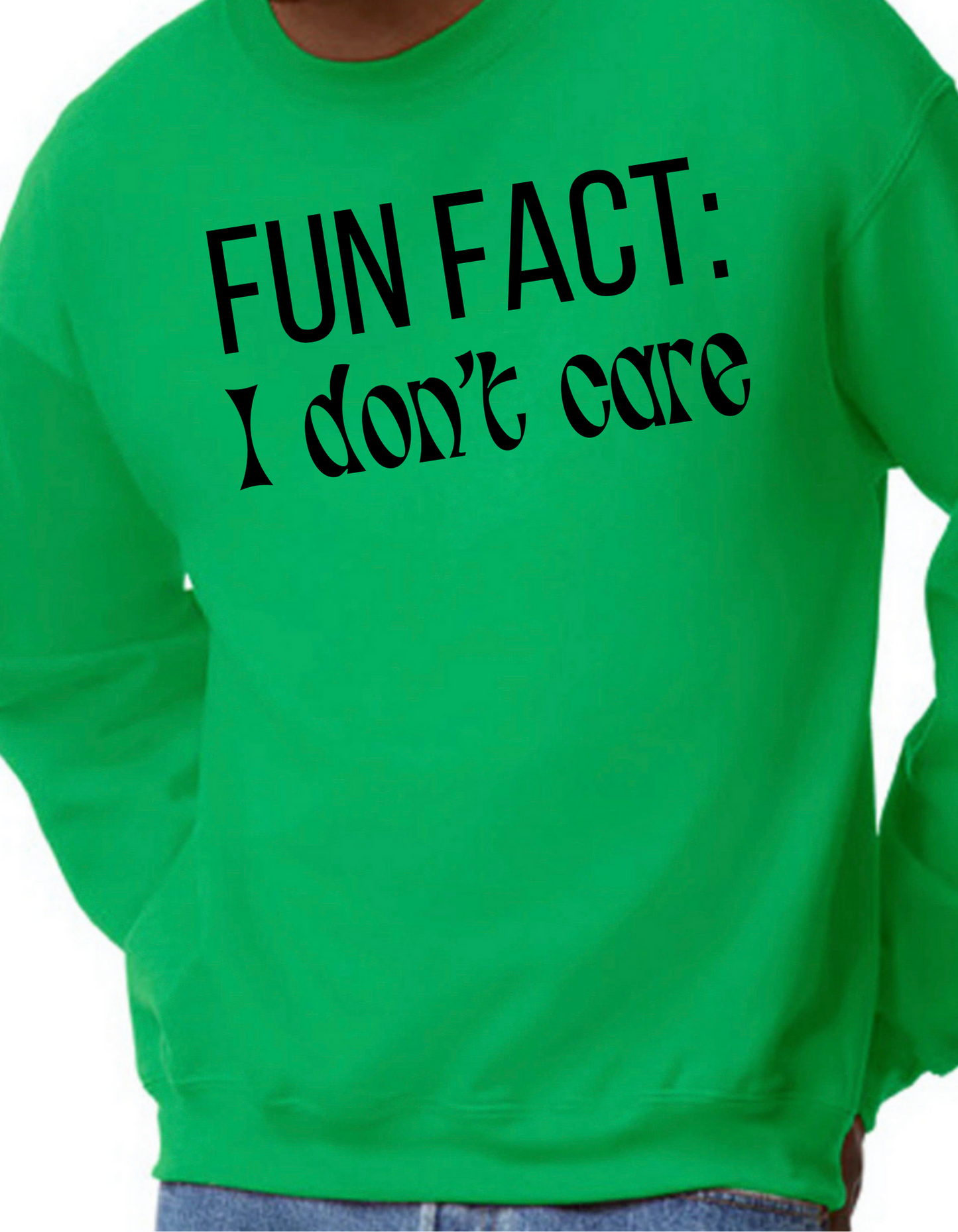 Fun Fact: I Don’t Care Crewneck