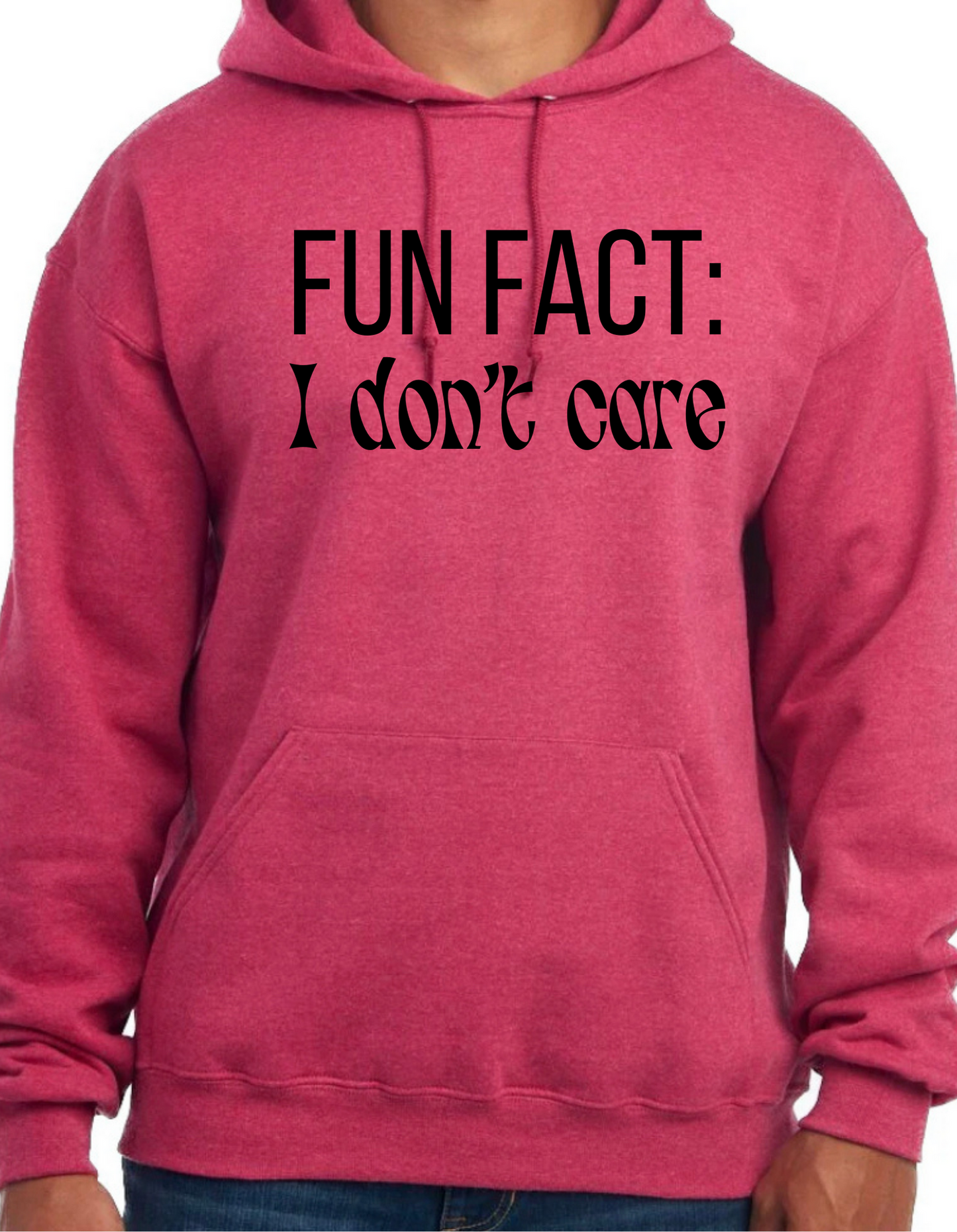 Fun Fact: I Don’t Care Hoodie