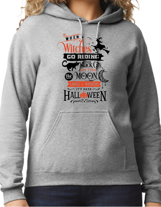 When Witches go Riding… Hoodie