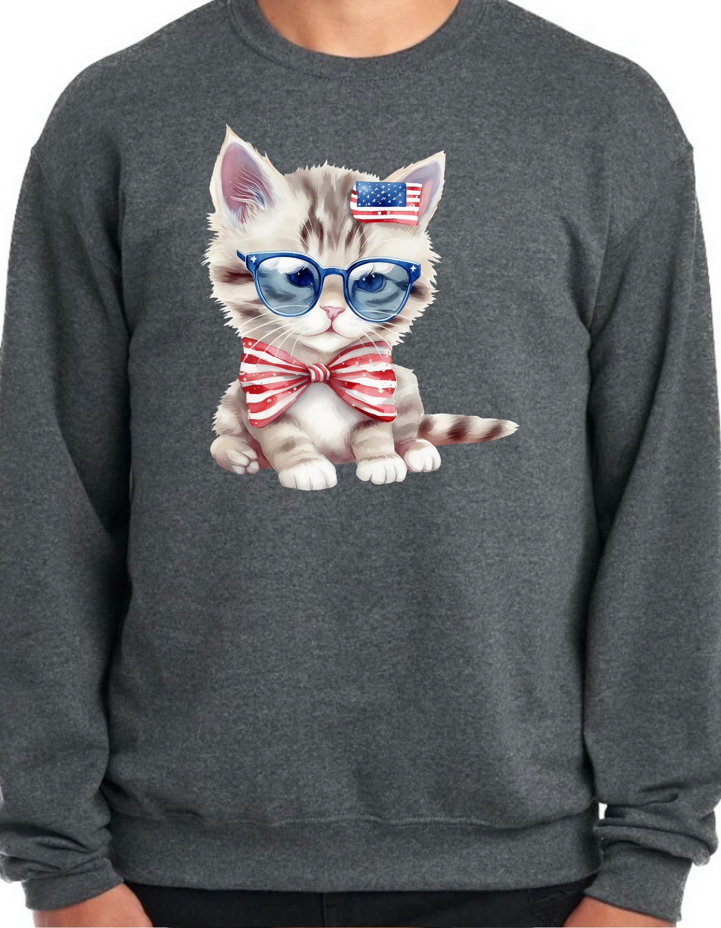 Patriotic Kittens Crewneck