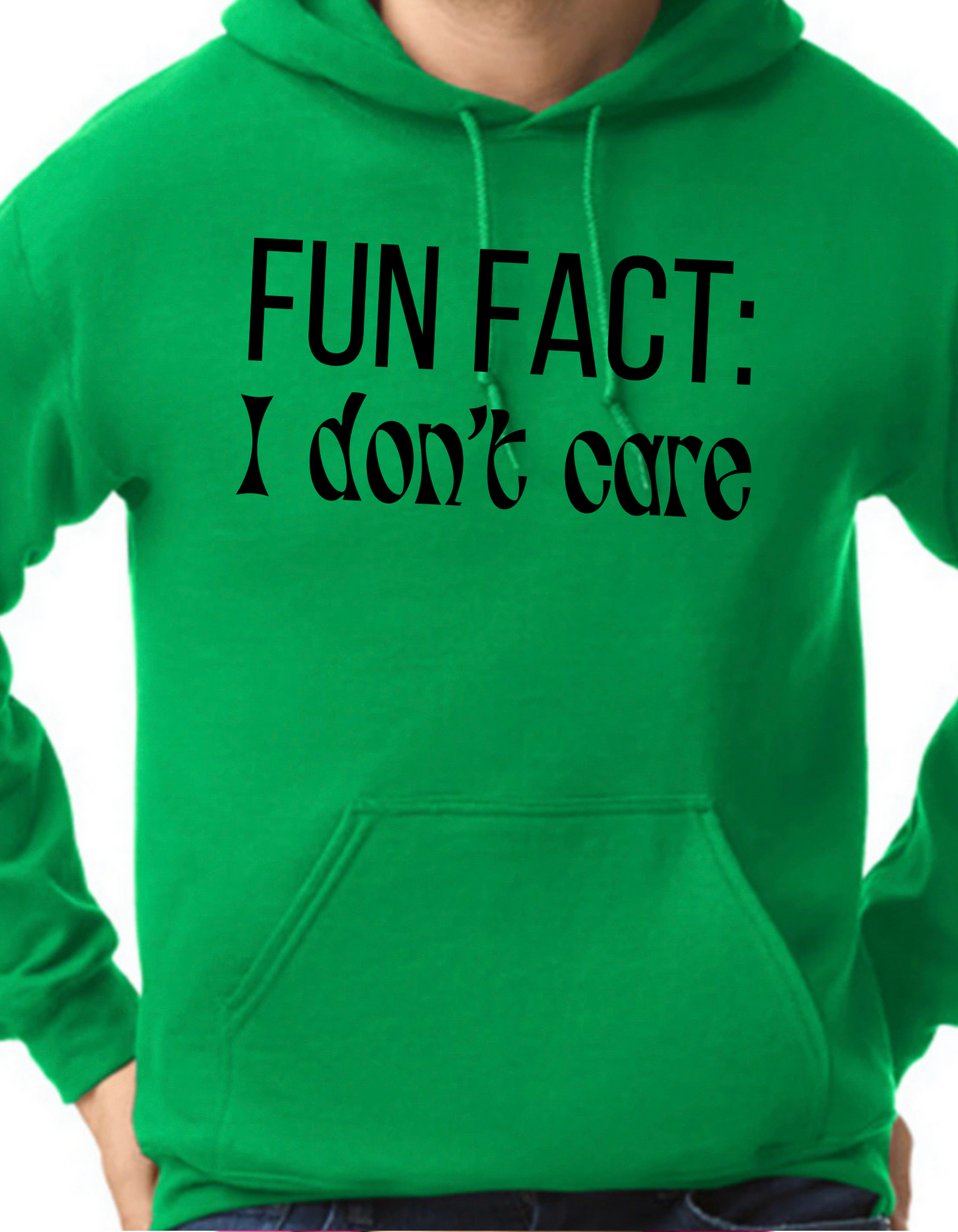 Fun Fact: I Don’t Care Hoodie