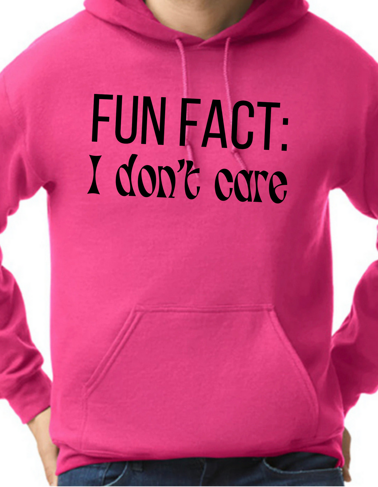 Fun Fact: I Don’t Care Hoodie