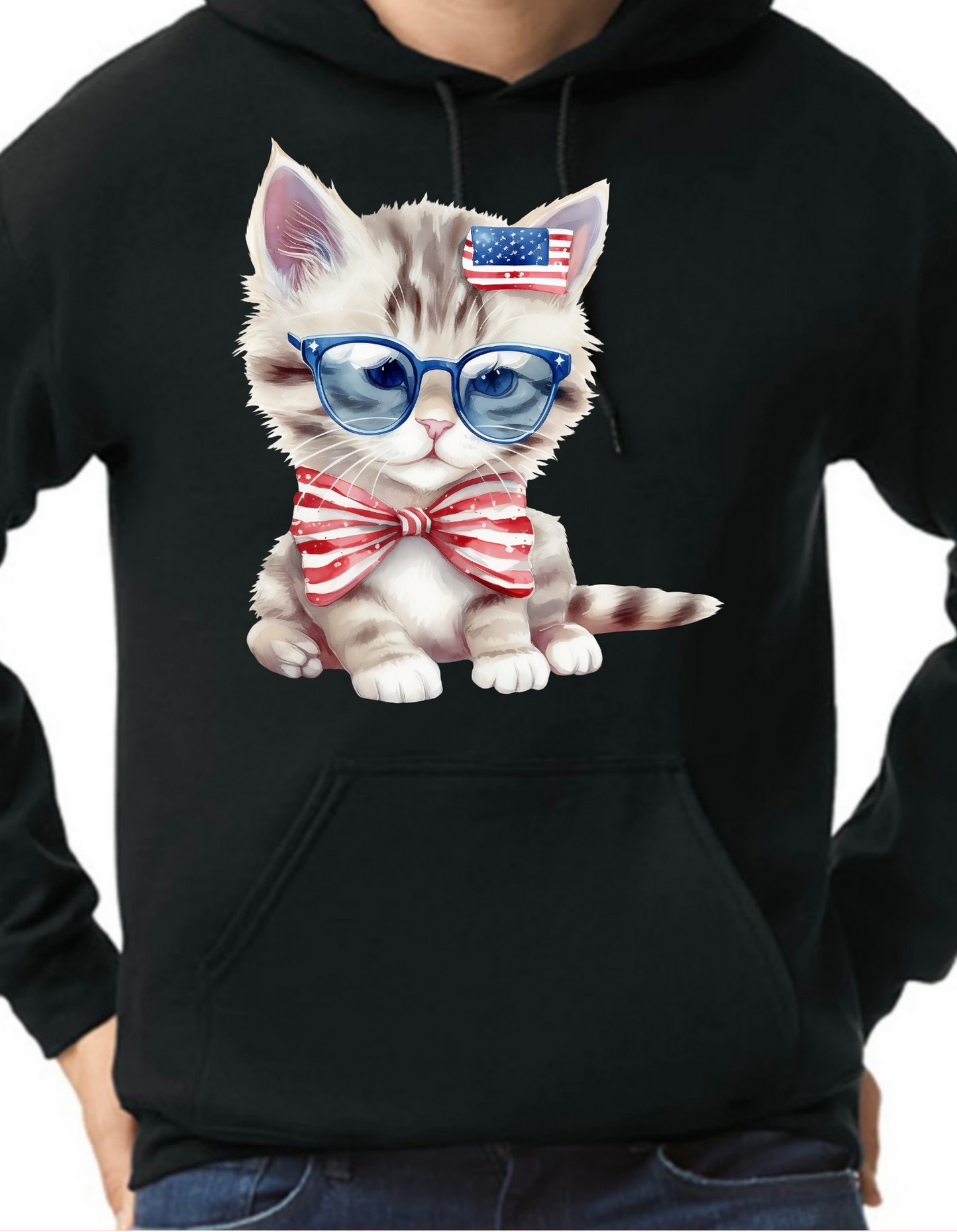 Patriotic Kittens Hoodie