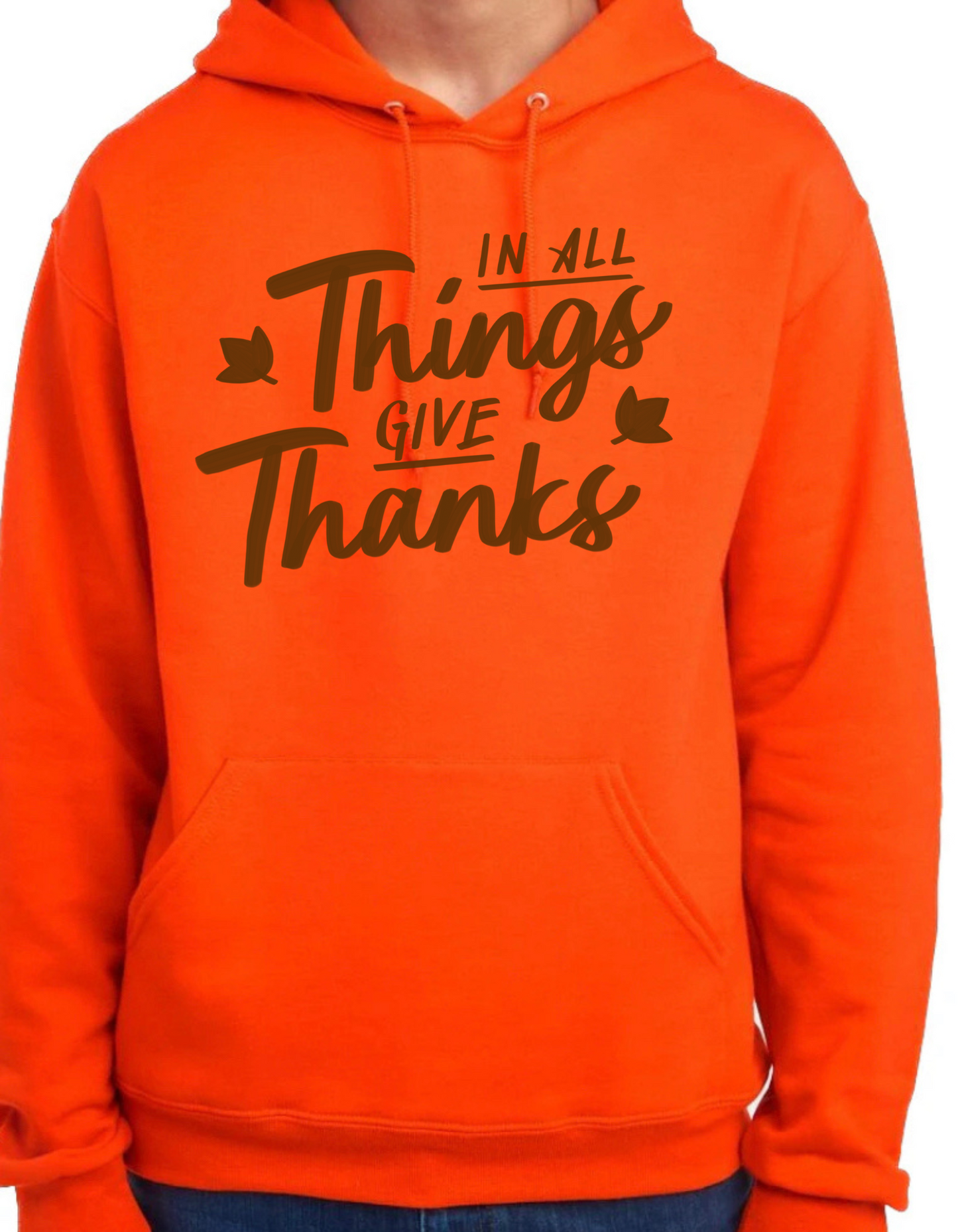 In All Things, Give Thanks Hoodie