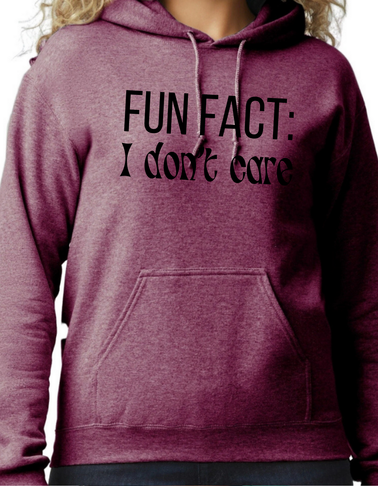 Fun Fact: I Don’t Care Hoodie